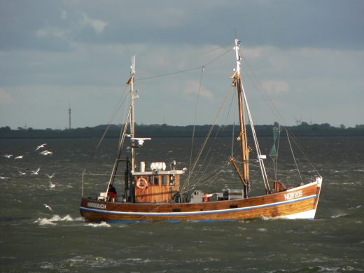 Fischkutter südlich von Norderney
